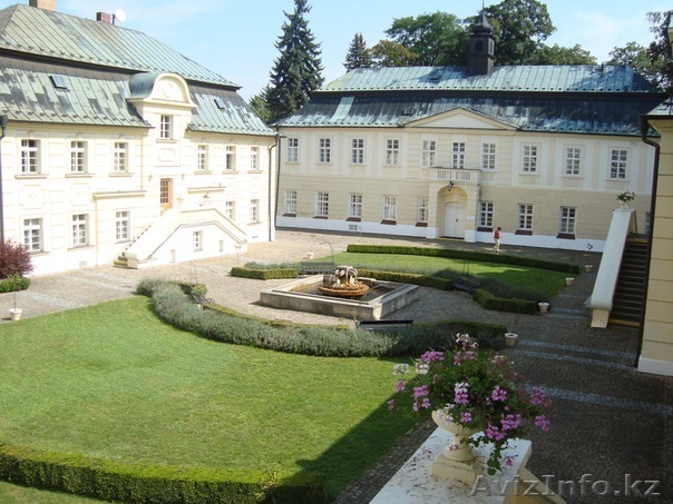 Бесплатное обучение в Чехии - Изображение #1, Объявление #776877