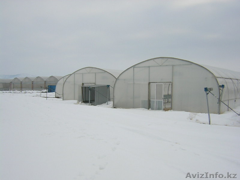 Строительство теплиц монтаж систем капельного орошения - Изображение #1, Объявление #803669