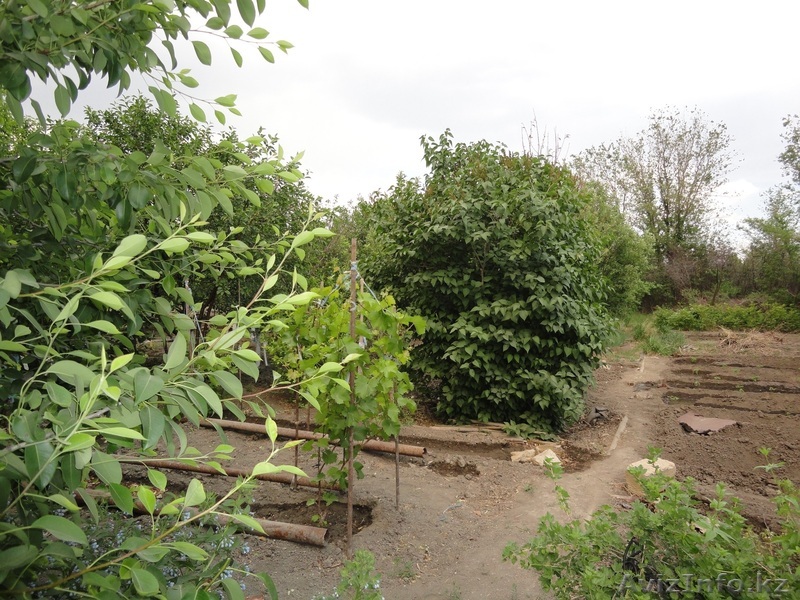 дача с/о "Черная речка" - Изображение #1, Объявление #821538