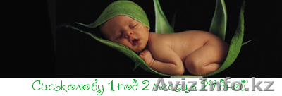 услуга няни у себя на дому - Изображение #1, Объявление #1007380