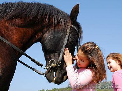 Детский ковбойский лагерь в Турции! - Изображение #1, Объявление #1263519