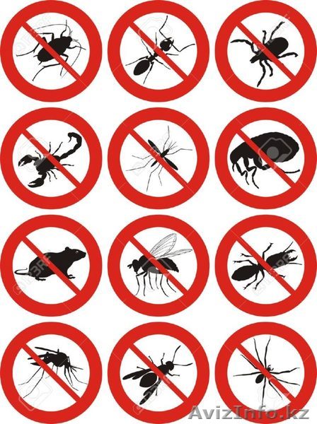  Дезинcекция и дератизация Атырау - Изображение #1, Объявление #1561285