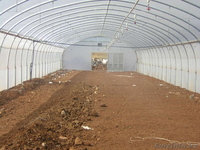 Строительство пленочных фермерских теплиц  - Изображение #1, Объявление #14442