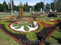 Озеленение, ландшафтный дизайн, благоустройство - Изображение #2, Объявление #180173