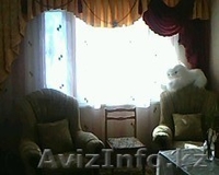 Арман 87771831722 Arman-67@mail.ru  - Изображение #3, Объявление #198214