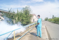 ТОО "БИО-Дезинфекция"   - Изображение #10, Объявление #633350