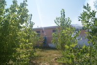 ТОО "БИО-Дезинфекция"   - Изображение #4, Объявление #633350