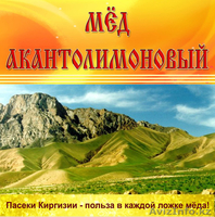 ПРОДАЮ ОПТОМ МЁД - Изображение #2, Объявление #875330