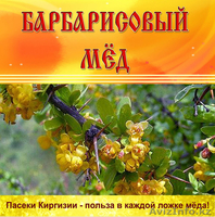 ПРОДАЮ ОПТОМ МЁД - Изображение #4, Объявление #875330