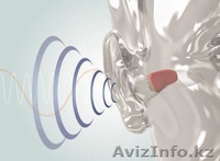 Центр хорошего слуха "Радуга звуков" - Изображение #2, Объявление #902176