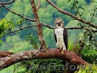 ТОО "ПЛАНЕТА.КЗ-АТЫРАУ" - Изображение #3, Объявление #916601