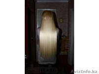 daxi0112@mail.ru - Изображение #4, Объявление #1004927