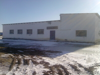 Кубеков Асылан, +77787367376, +7701957869 - Изображение #1, Объявление #1024550