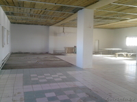 Кубеков Асылан, +77787367376, +7701957869 - Изображение #4, Объявление #1024550