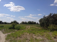 Тубек сатылады орал быгытына карай жолдан 800 метр. 26 гектар. Айналасы су - Изображение #2, Объявление #1315854