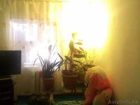 Проезд запорожский №30 - Изображение #4, Объявление #1323837