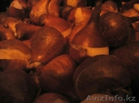 Посадка саженцев - Изображение #1, Объявление #1503564