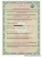 Ученые РФ создали нано-подушку "Асония" - Изображение #5, Объявление #1542414