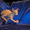 Котёнок канадского сфинкса, мальчик, минковый биколор. - Изображение #3, Объявление #455321