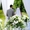 Cовременные невесты все чаще выбирают... - Изображение #2, Объявление #940892