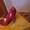 Женские туфли и босоношки!!!  - Изображение #6, Объявление #1053412