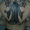 Мастер татуировки,татуажа и пирсинга Bomber Zee - Изображение #4, Объявление #1325829