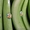 бананы оптом от производителя - Изображение #3, Объявление #715040