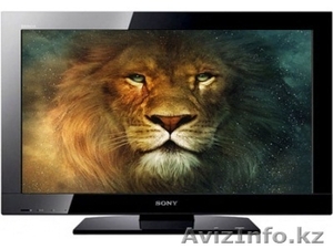 3.Телевизоры:  Плазма, LCD,  LED,  3Dтелевизоры. 