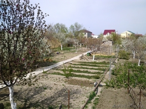 Частный дом с приусадебным участком в пригороде Атырау. - Изображение #10, Объявление #868774