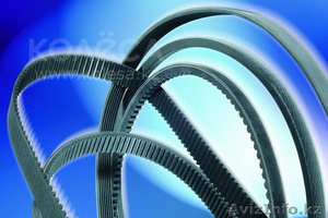 ремни оптом и в розницу корейского производства