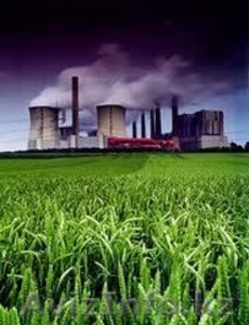 Сертификаты  системы менеджмента качества,  охраны окружающей среды ИСО 