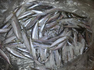 Рыба мороженая с доставкой