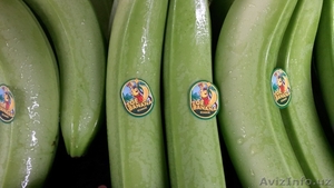 бананы оптом от производителя - Изображение #3, Объявление #715040