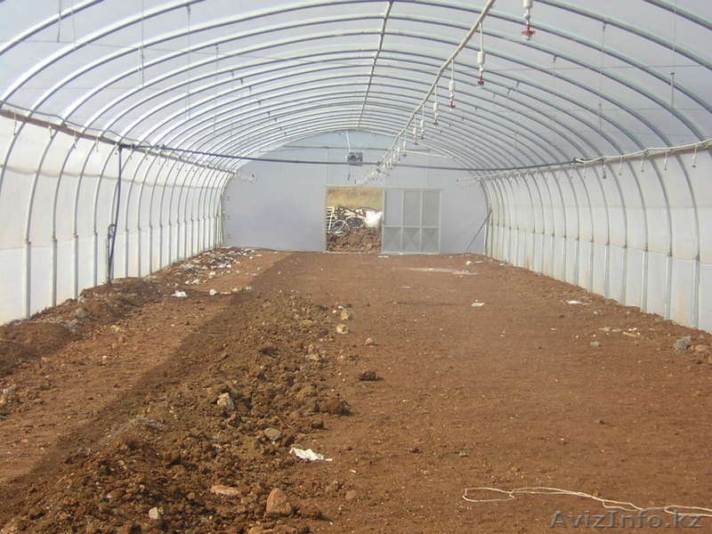 Строительство пленочных фермерских теплиц  - Изображение #1, Объявление #14442