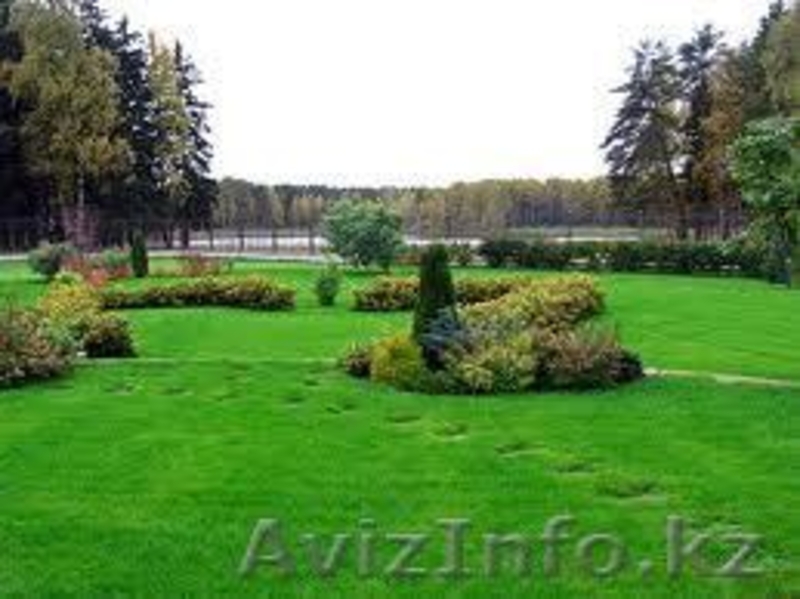 Озеленение, ландшафтный дизайн, благоустройство - Изображение #1, Объявление #180173