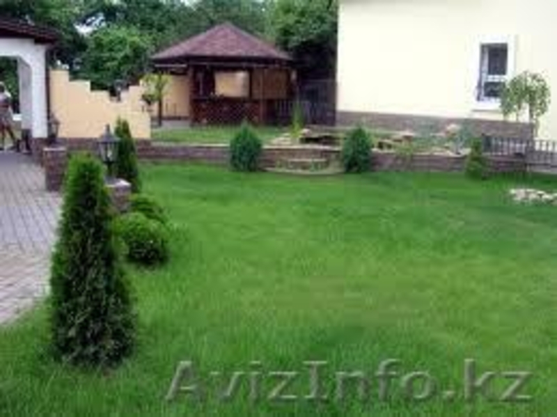 Озеленение, ландшафтный дизайн, благоустройство - Изображение #5, Объявление #180173