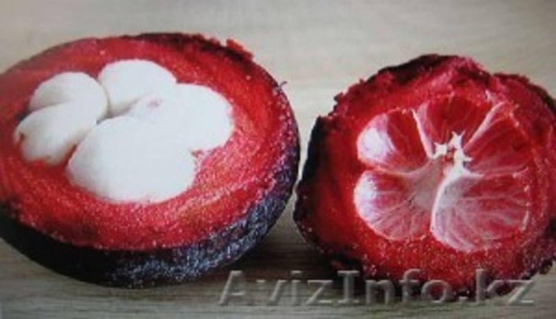 Xango-доставка на дом - Изображение #4, Объявление #207224