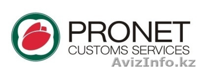 Www pc 1 ru. Custom solutions в Екатеринбурге. Логотип Айока саппорт Сервисез. Stan Pro Customs. Pronet Group.