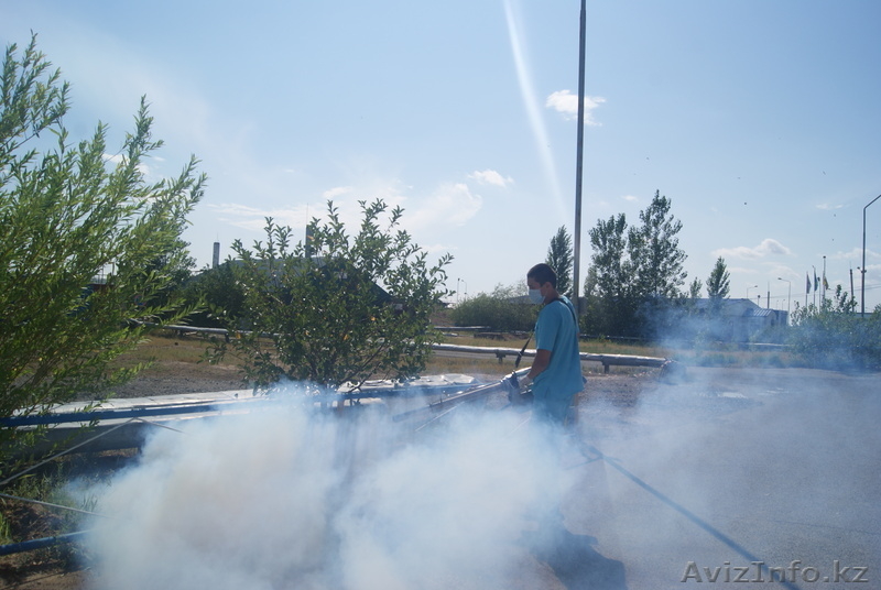 ТОО "БИО-Дезинфекция"   - Изображение #7, Объявление #633350