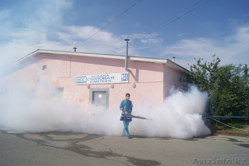 ТОО "БИО-Дезинфекция"   - Изображение #2, Объявление #633350