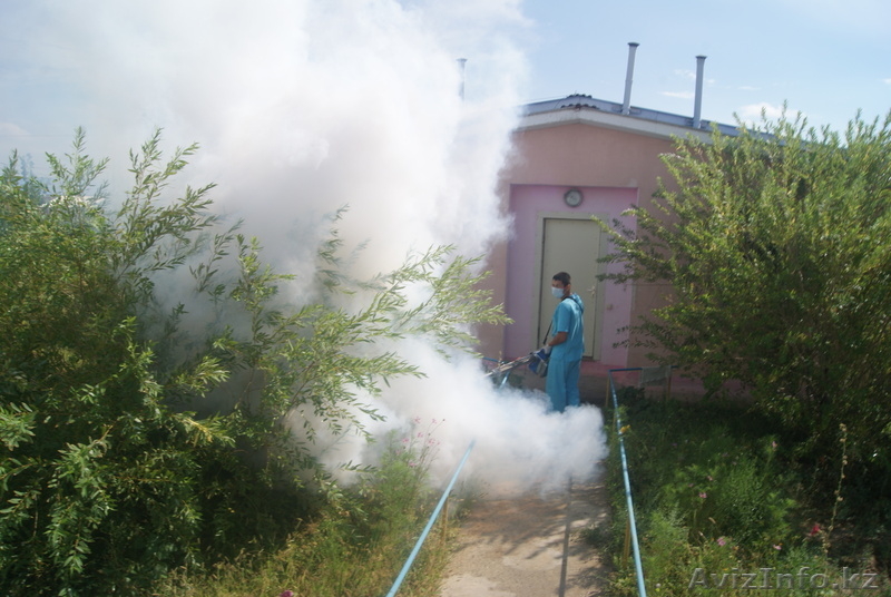 ТОО "БИО-Дезинфекция"   - Изображение #3, Объявление #633350