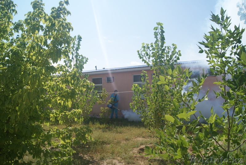 ТОО "БИО-Дезинфекция"   - Изображение #4, Объявление #633350