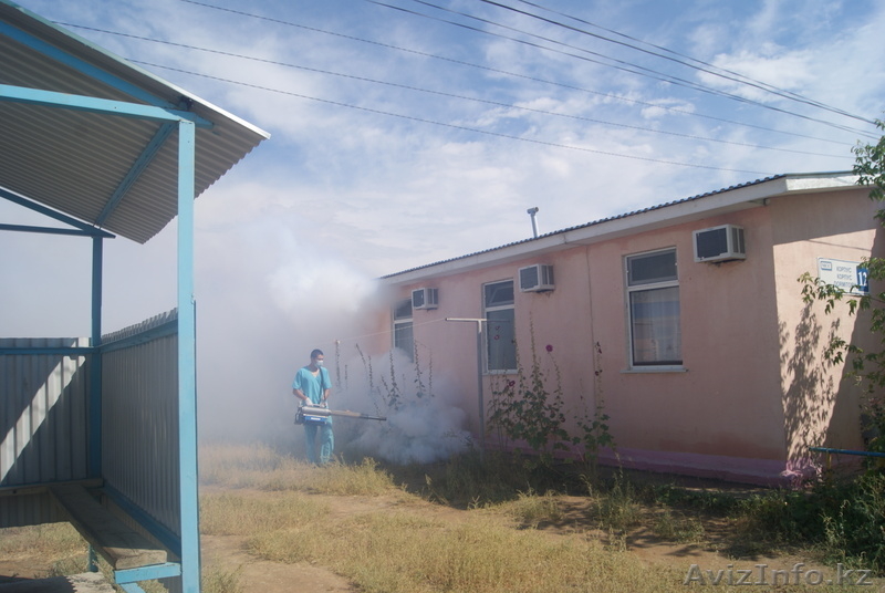 ТОО "БИО-Дезинфекция"   - Изображение #5, Объявление #633350