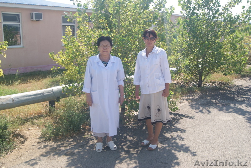 ТОО "БИО-Дезинфекция"   - Изображение #6, Объявление #633350