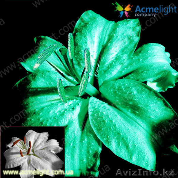 Предлагаем сотрудничество в г. Атырау - Изображение #1, Объявление #691485