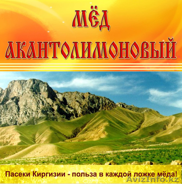 ПРОДАЮ ОПТОМ МЁД - Изображение #2, Объявление #875330