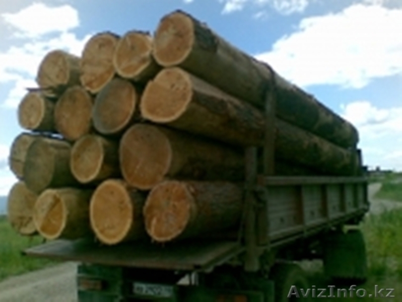 Лес-кругляк из регионов Дальнего Востока России - Изображение #2, Объявление #1004938