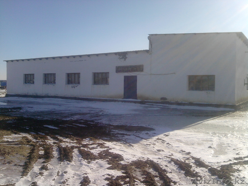 Кубеков Асылан, +77787367376, +7701957869 - Изображение #1, Объявление #1024550