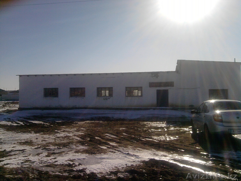 Кубеков Асылан, +77787367376, +7701957869 - Изображение #2, Объявление #1024550