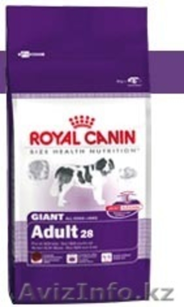 ЗООМИР сеть товаров для животных - Изображение #4, Объявление #1187216